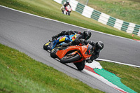 Advanced Group Orange Bikes